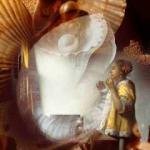 Veins of Porcelain: The Shell of Memory